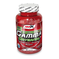 Amix Gamma Oryzanol 300 mg 90 kaps  